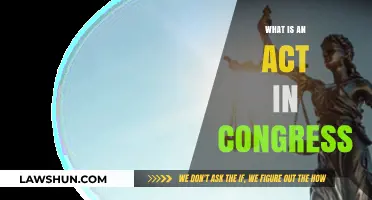 Understanding Congressional Acts: How Laws Are Made in Congress