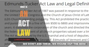 Understanding Act Law: Definition, Purpose, and Legal Significance Explained
