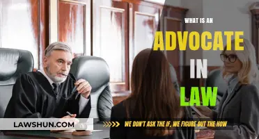 Understanding the Role of an Advocate in the Legal System