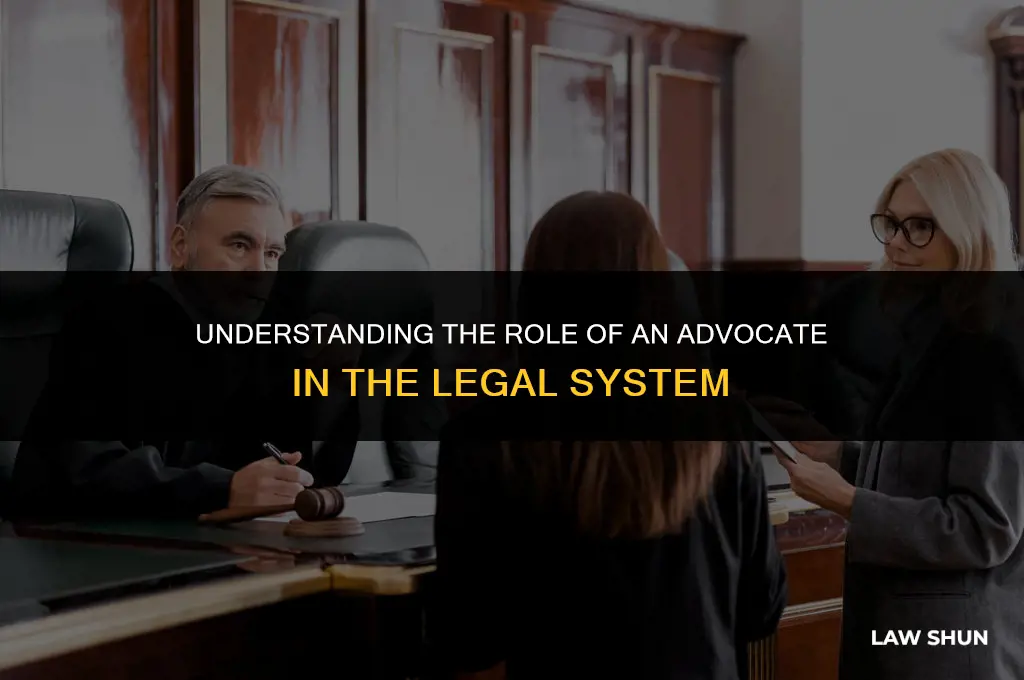 what is an advocate in law