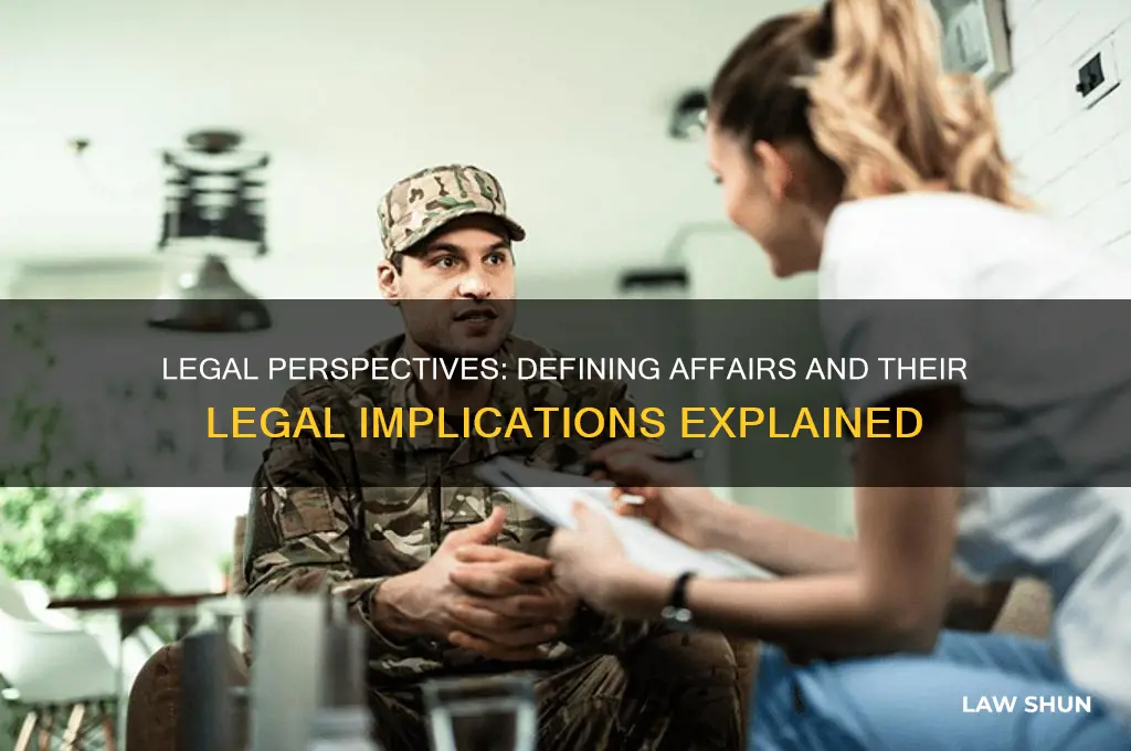 what is an affair in the eyes of the law