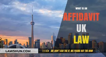 Affidavit Basics: UK Law