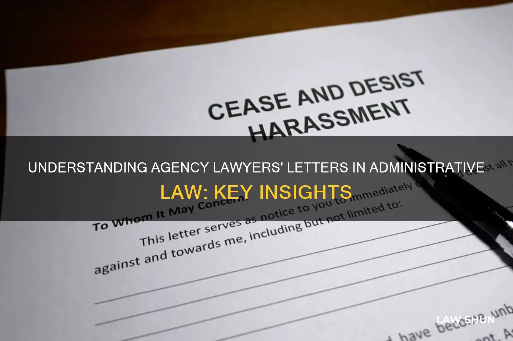 what is an agency lawyer