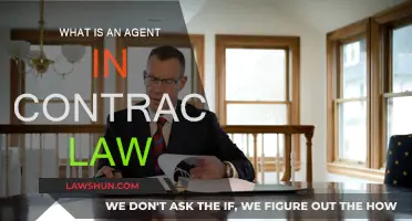 Understanding Agency in Contract Law