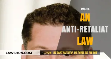 Understanding Anti-Retaliation Laws: Protecting Employees from Workplace Retaliation