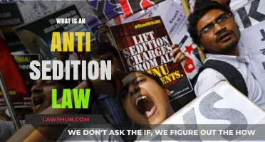 Understanding Anti-Sedition Laws: Definition, Purpose, and Legal Implications