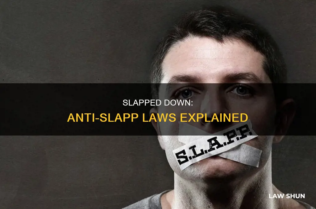 what is an anti-slapp law