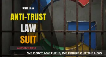 Understanding Anti-Trust Lawsuits: Protecting Competition and Consumer Rights