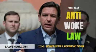 Understanding Anti-Woke Laws: Origins, Impact, and Societal Debate Explained