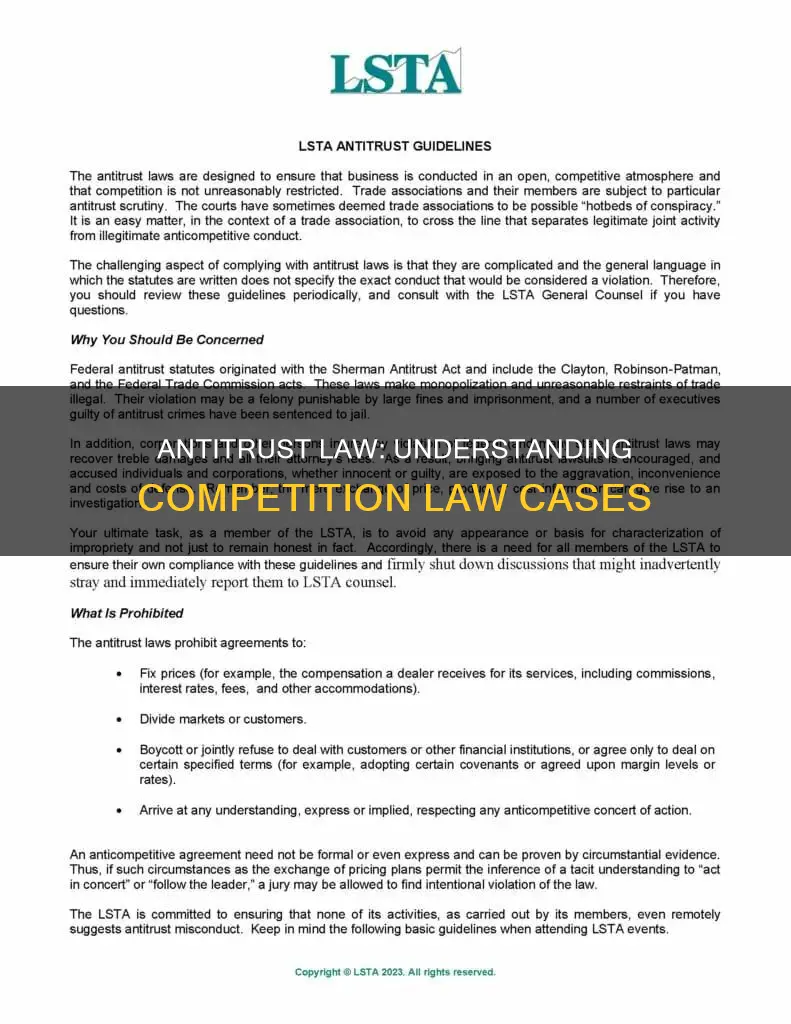 what is an antitrust law case