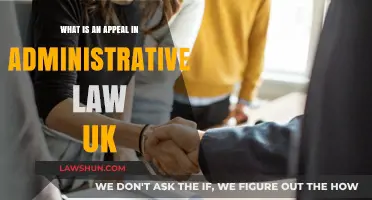 Understanding Appeals in UK Administrative Law