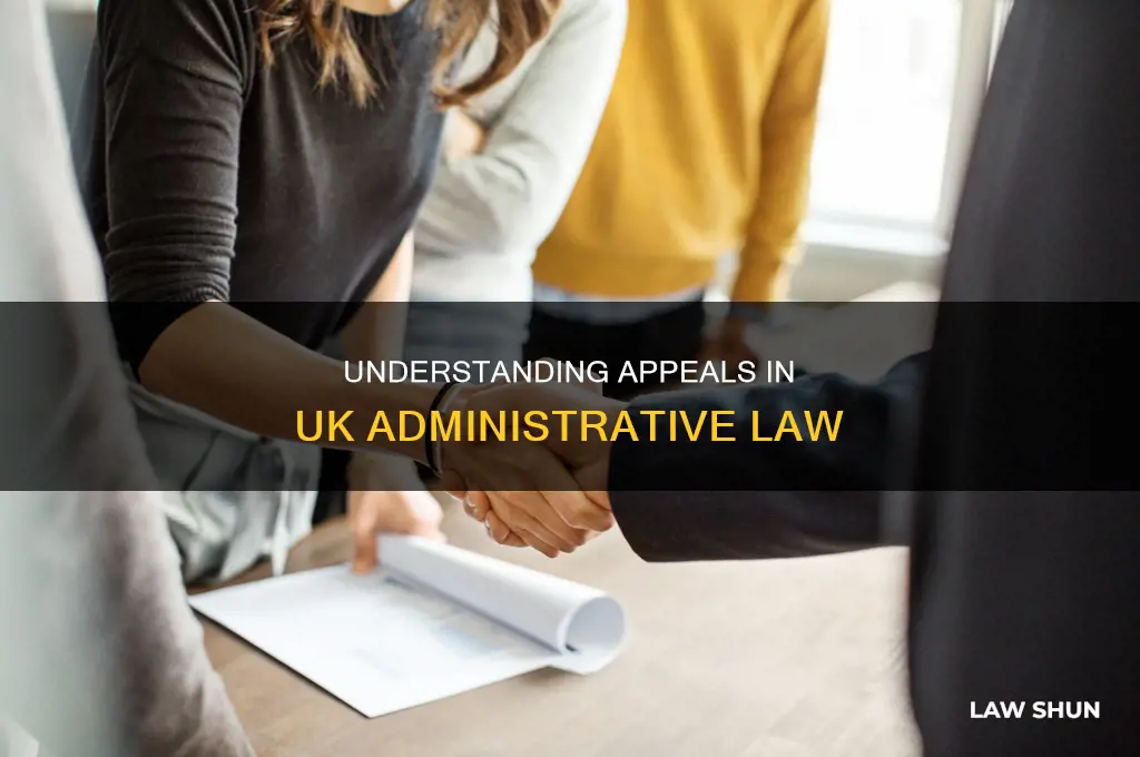 what is an appeal in administrative law uk