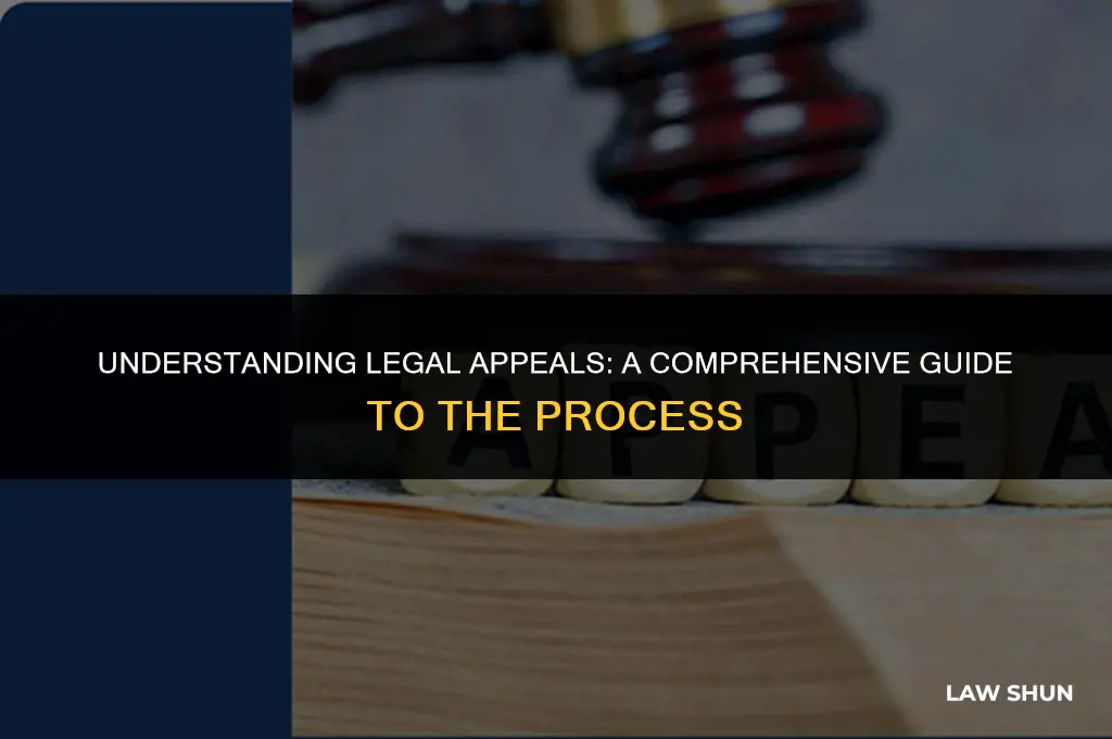 what is an appeal in law