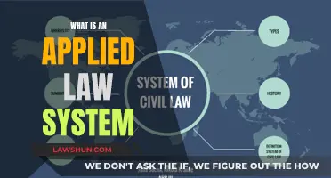 Applied Law Systems: Understanding Their Practical Functionality