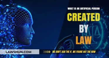 Artificial Persons: Legal Fiction Explained