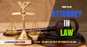 Understanding the Role of an Attorney in Law: A Comprehensive Guide