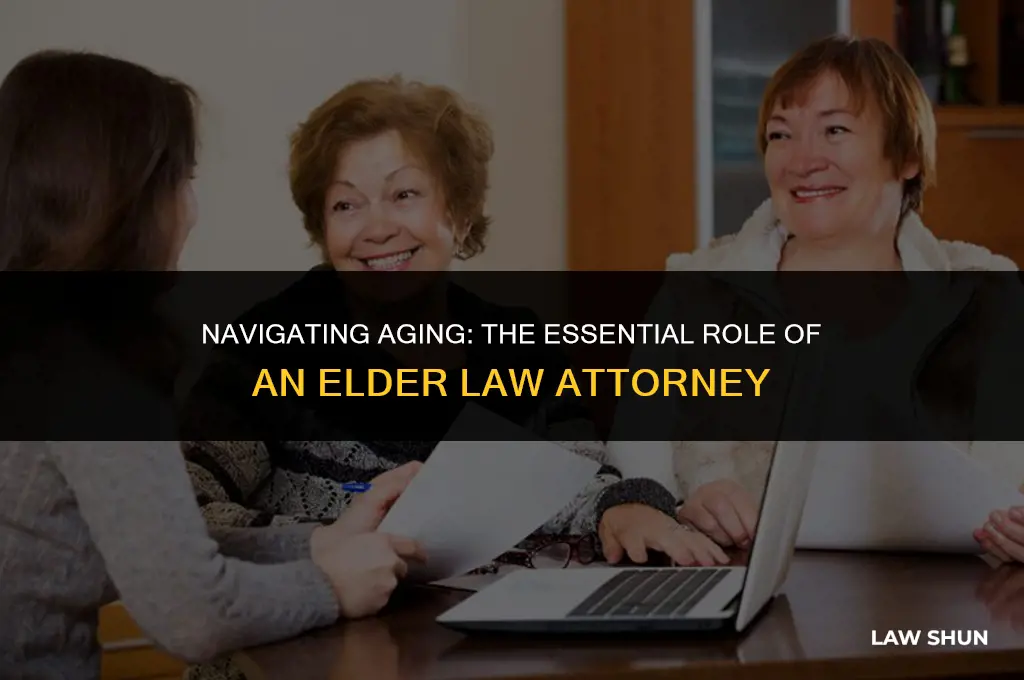what is an elder law attorney