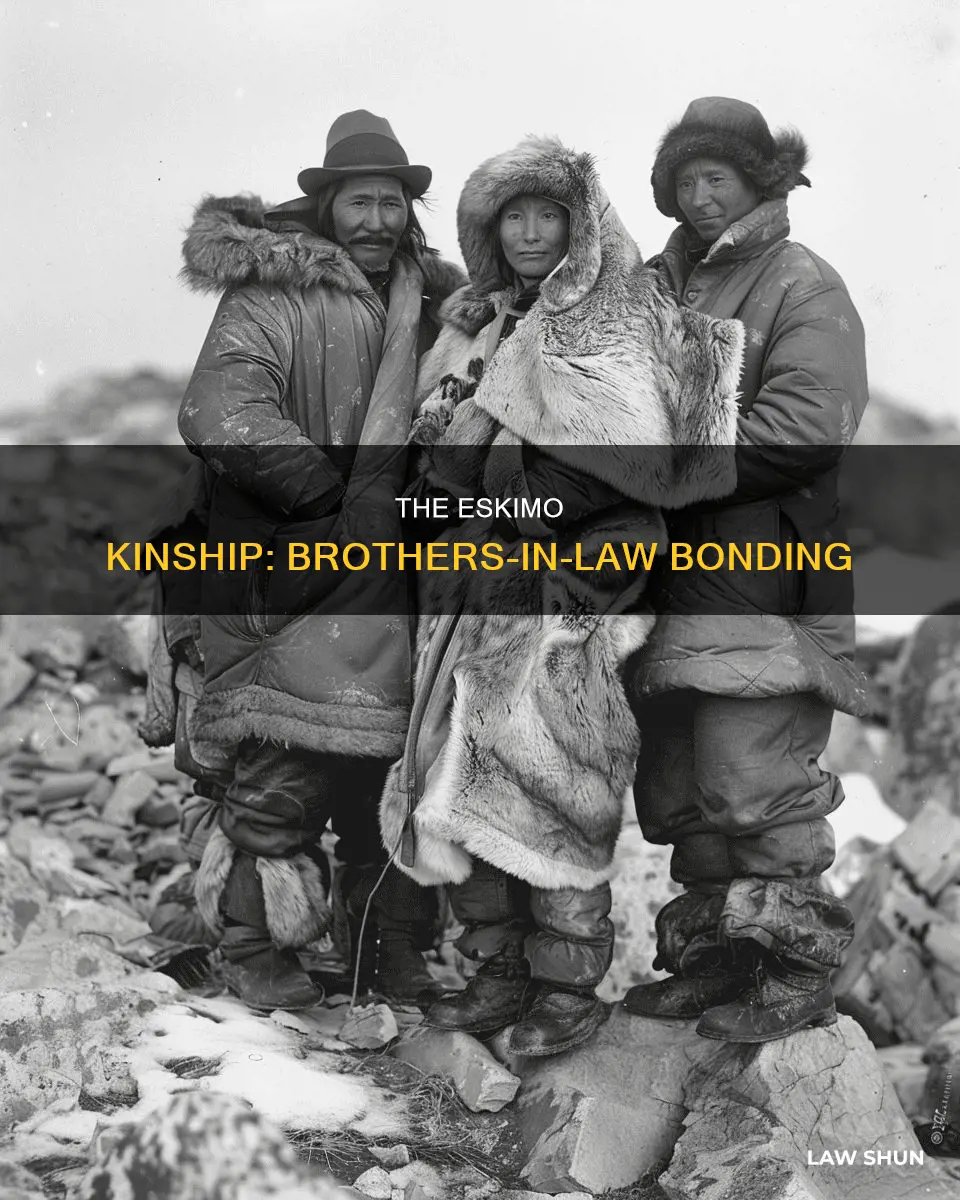 what is an eskimo brother in law