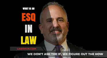 Understanding the Role of an Esq in the Legal Profession