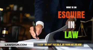 Understanding the Role of an Esquire in the Legal Profession