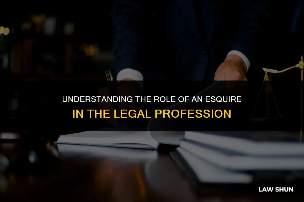 what is an esquire in law