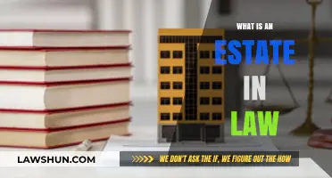 Understanding Estates in Law: A Comprehensive Guide