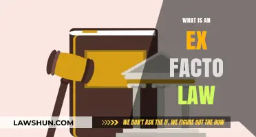 Understanding Ex Facto Laws: A Comprehensive Guide