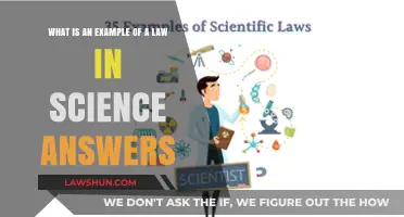 Understanding Scientific Laws: Real-World Examples and Their Significance