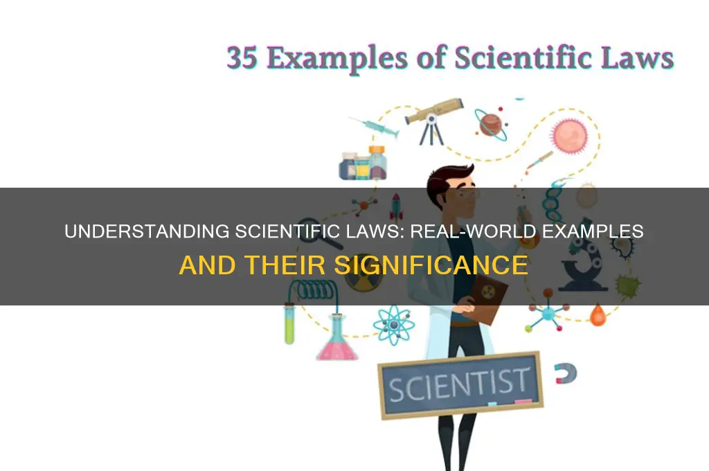 what is an example of a law in science answers