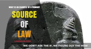 Understanding Primary Law Sources: A Key Example Explained