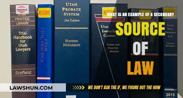 Understanding Secondary Sources of Law: Examples and Importance