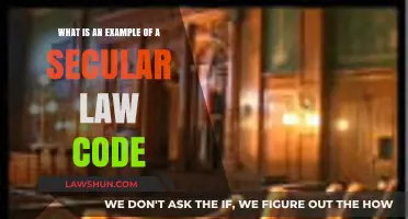 Exploring Secular Law: A Modern Example of a Code in Action