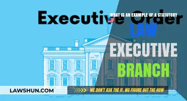 Executive Branch Statutory Law Example: Understanding Its Role and Impact