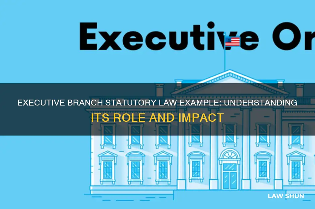 what is an example of a statutory law executive branch