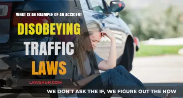 Ignoring Traffic Laws: A Real-Life Accident Example and Its Consequences