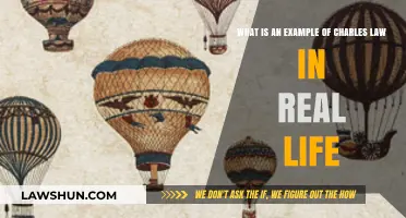 Real-Life Charles Law Example: Balloon Inflation Explained Simply