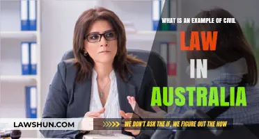 Understanding Civil Law in Australia: Key Examples and Applications