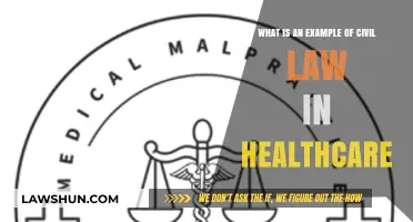 Understanding Civil Law in Healthcare: Key Examples and Implications