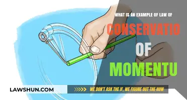 Understanding the Law of Conservation of Momentum: Real-World Example Explained