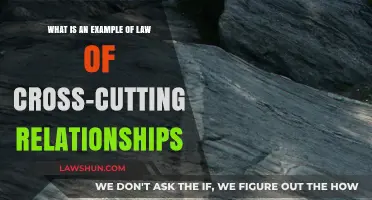 Understanding the Law of Cross-Cutting Relationships: A Geological Example