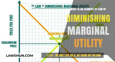 Understanding Diminishing Marginal Utility: Real-Life Example Explained