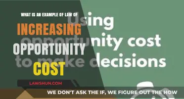 Understanding the Law of Increasing Opportunity Cost: Real-World Example Explained