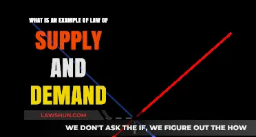 Understanding Supply and Demand: Real-World Example Explained Simply