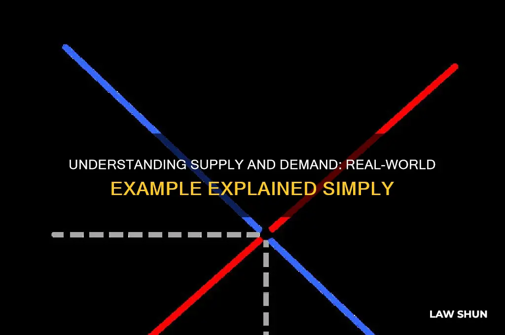 what is an example of law of supply and demand