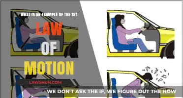Understanding Newton's First Law: Real-Life Example of Inertia in Action