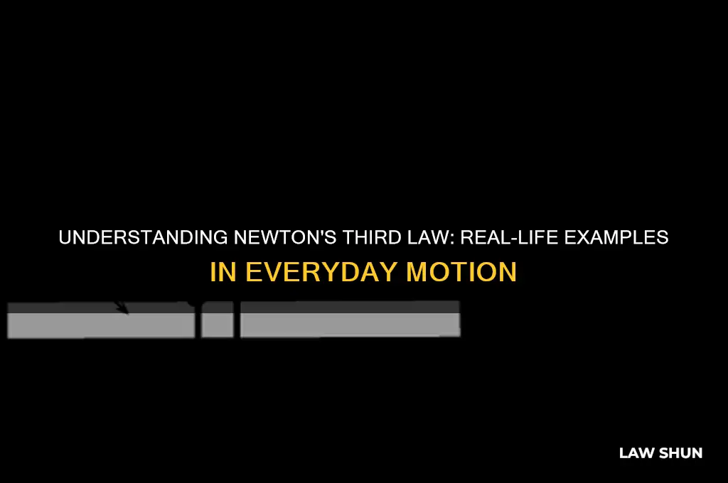 what is an example of the 3rd law of motion