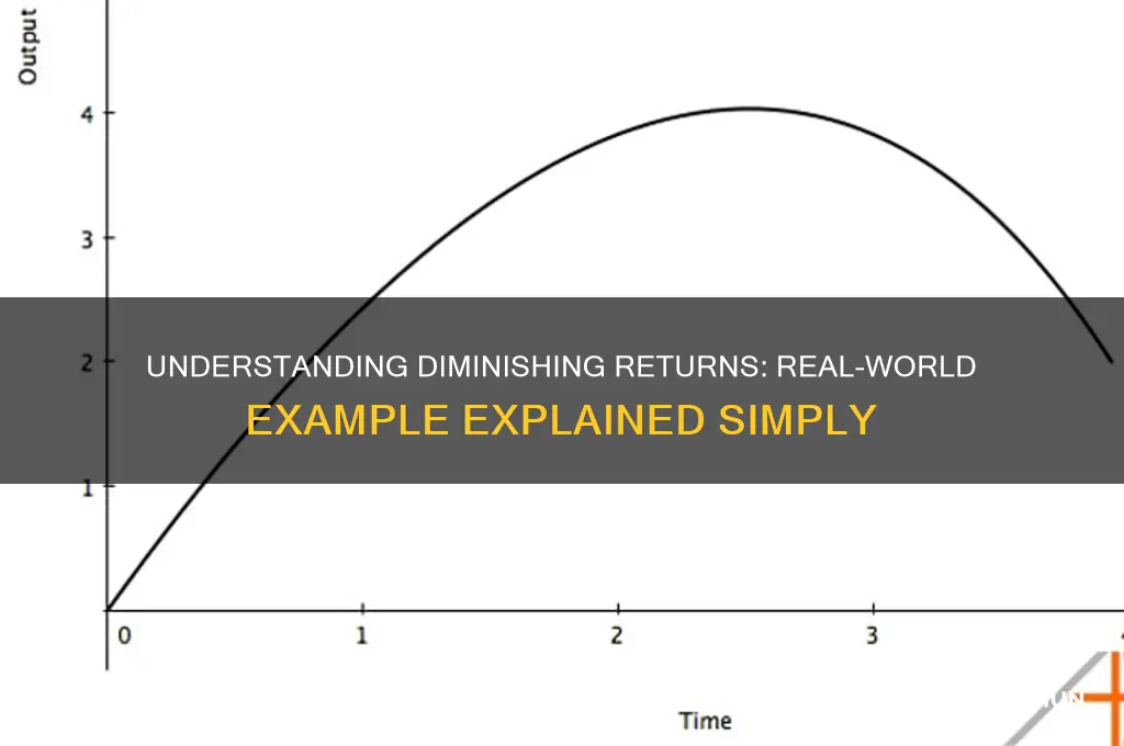 what is an example of the law of diminishing returns