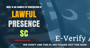 Verification of Lawful Presence in South Carolina: A Practical Example