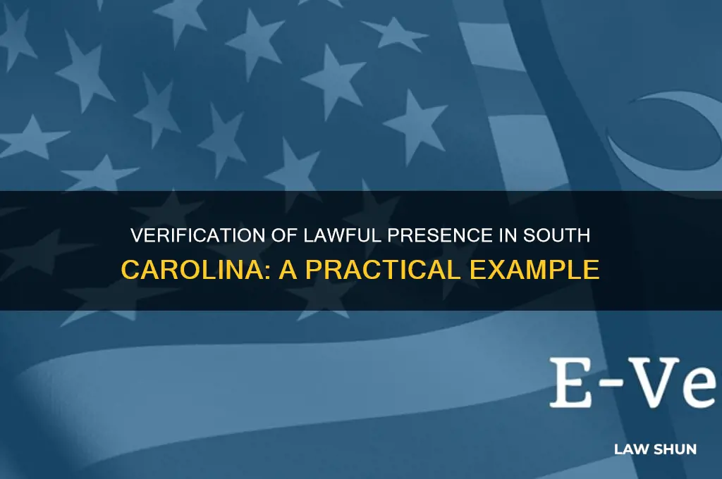 what is an example of verification of lawful presence sc