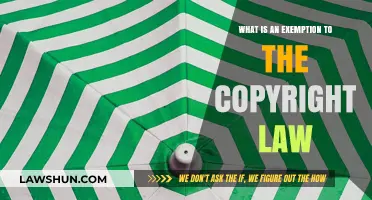 Understanding Copyright Law Exemptions: Key Exceptions Explained